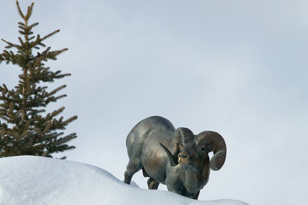 Photo of Outdoor in West Yellowstone