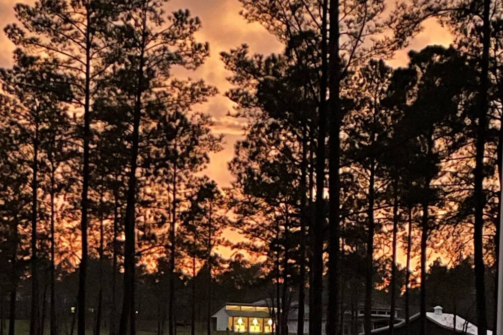 Photo of Others in Aiken
