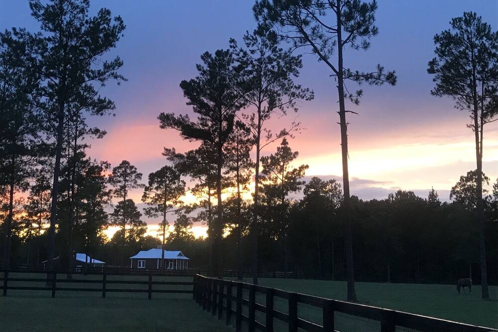 Photo of Others in Aiken
