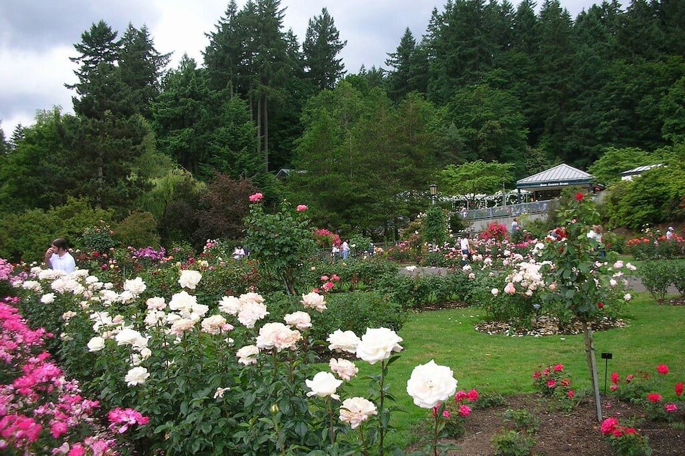 Photo of Outdoor in Tanasbourne
