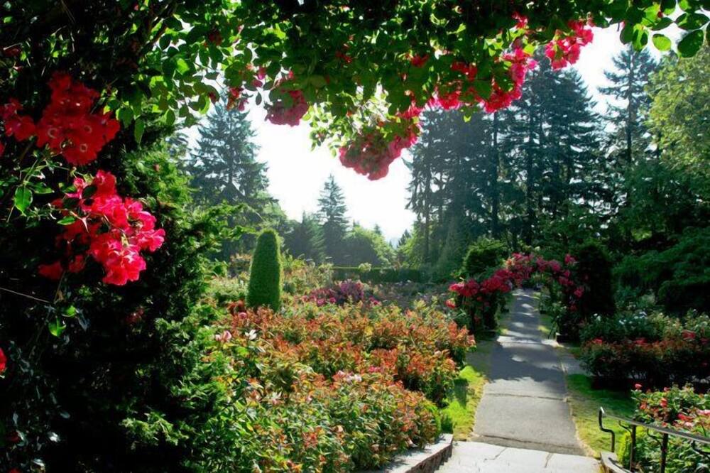 Photo of Outdoor in Tanasbourne