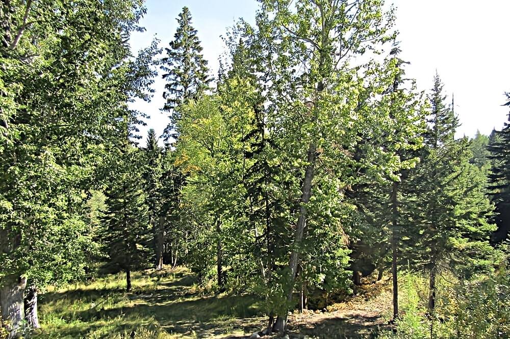Photo of Outdoor in Kalispell