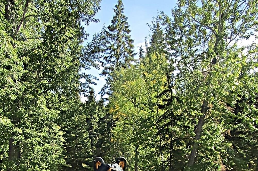Photo of Others in Kalispell