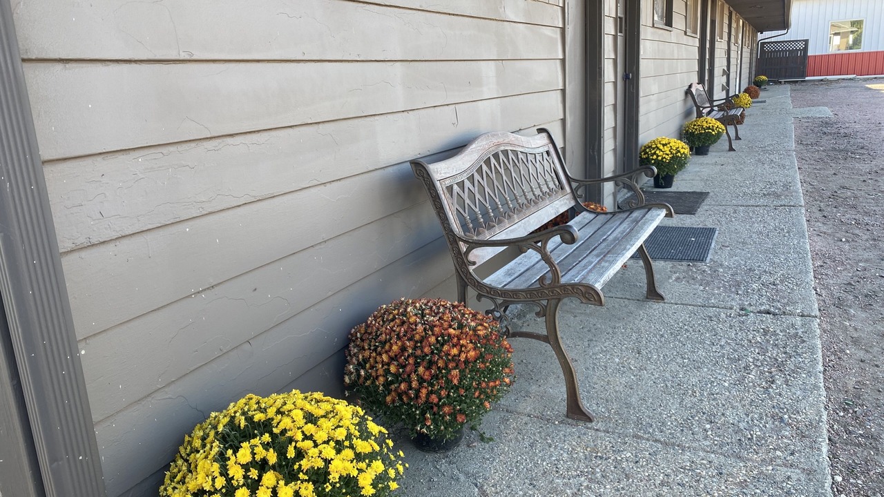 Photo of Outdoor in Faulkton