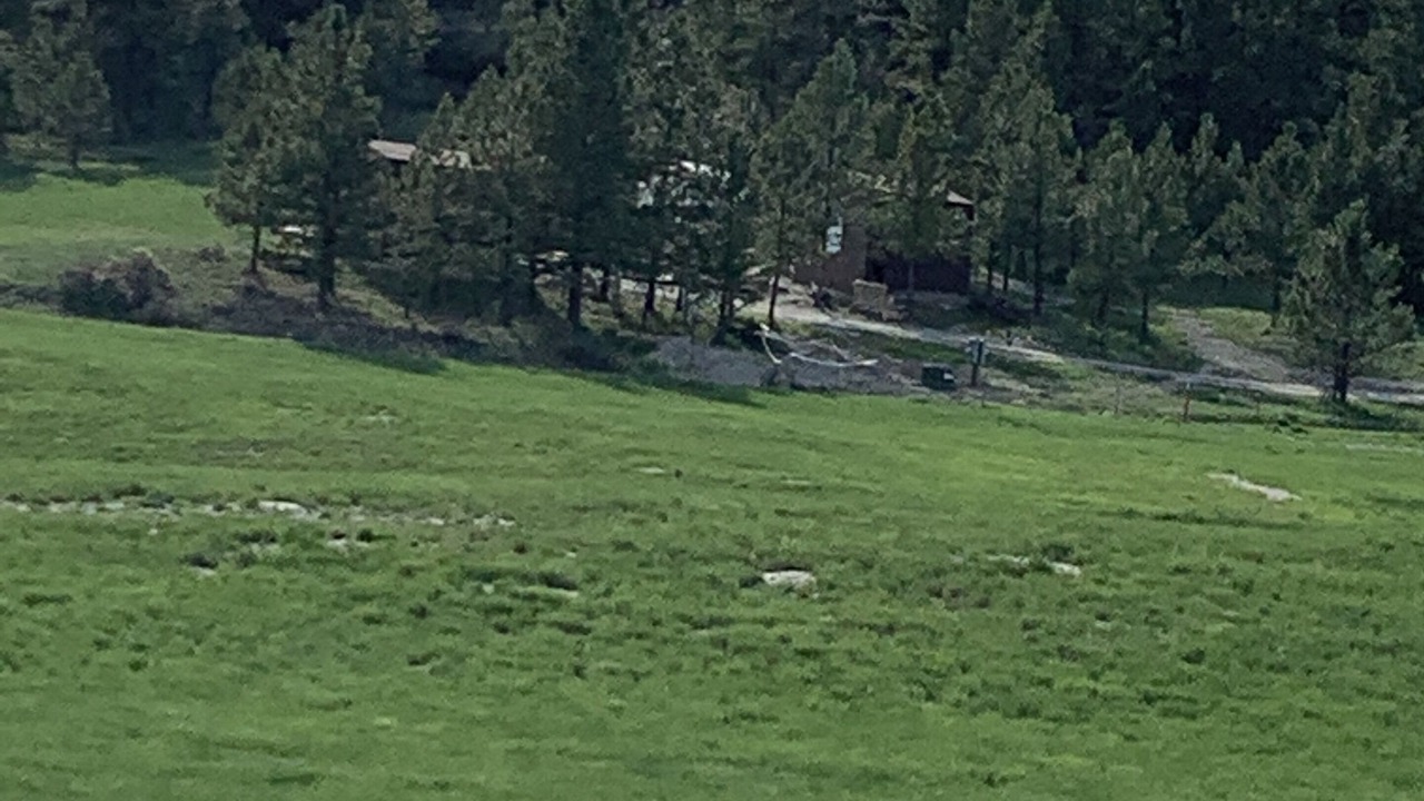 Photo of Others in Roundup