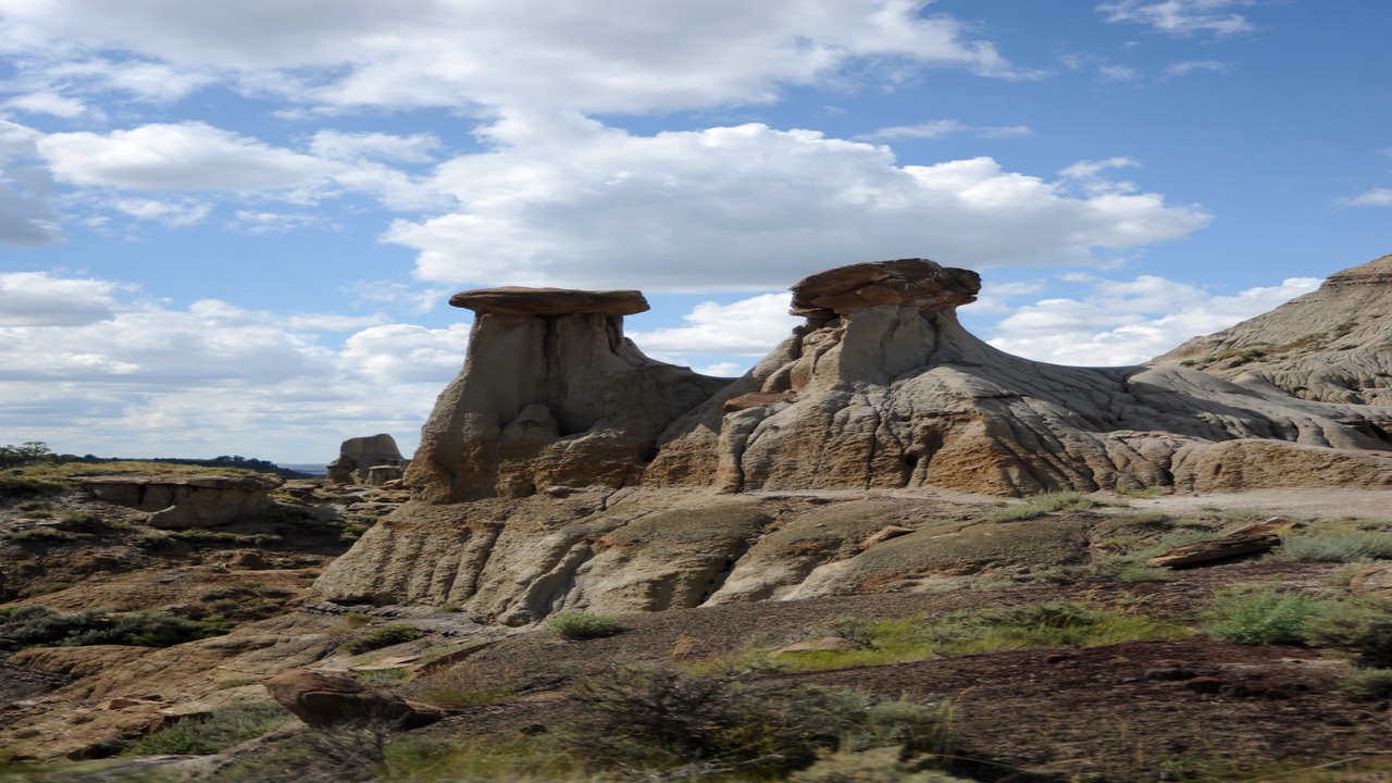 Photo of Others in Glendive