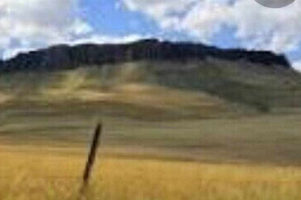 Photo of Others in Simms