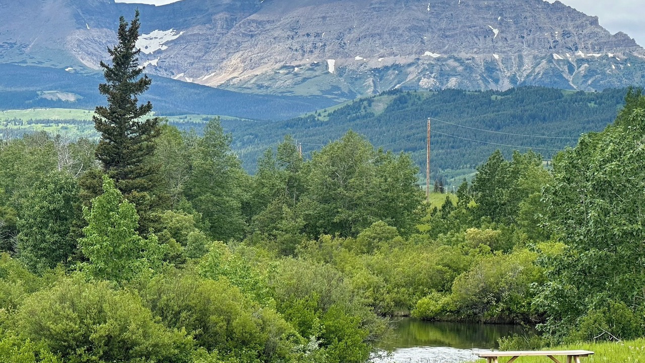 Photo of Others in Browning
