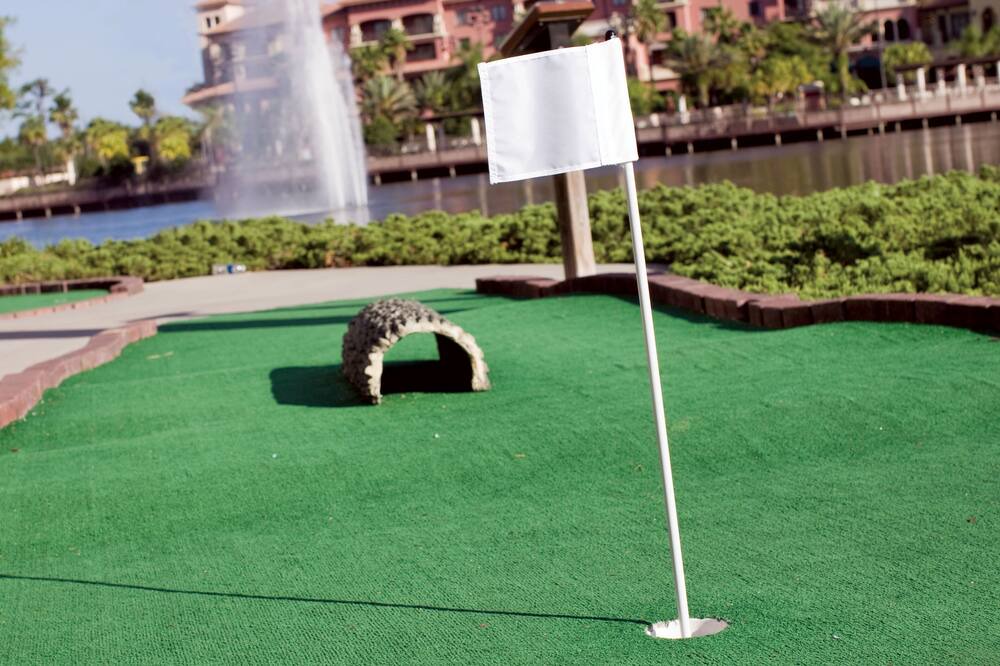 Photo of Others in Lake Buena Vista