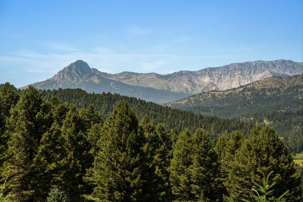 Photo of Others in Bozeman