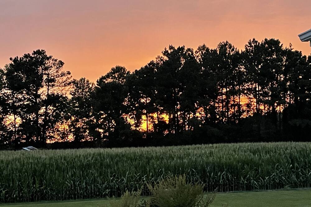Photo of Outdoor in Albertson