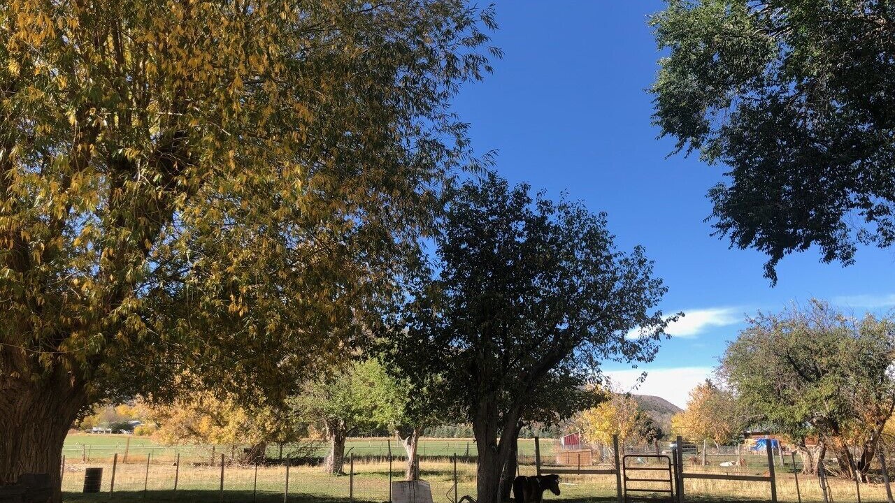 Photo of Outdoor in Tridell