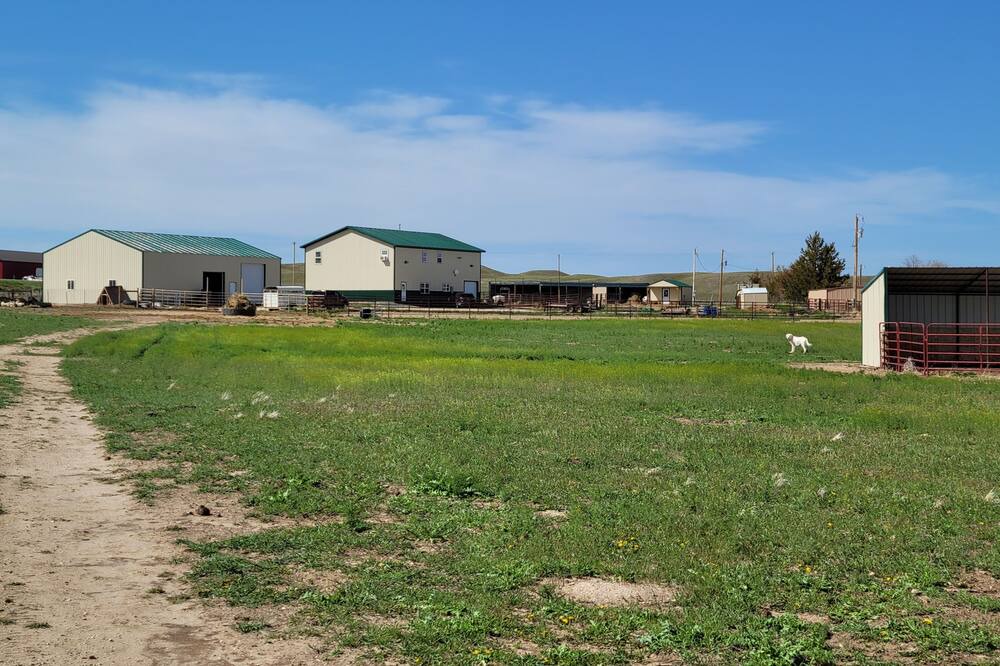 Photo of Outdoor in Lingle