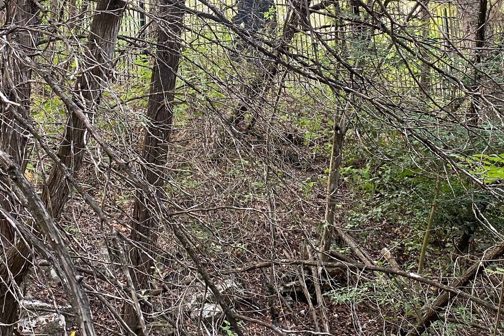 Photo of Outdoor in Lakeland Park
