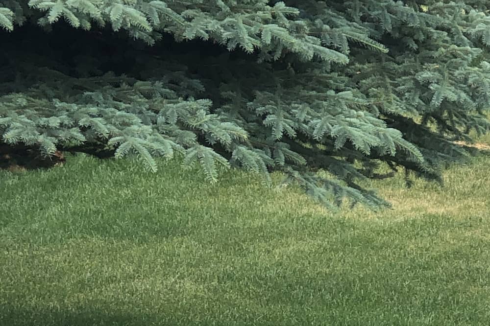 Photo of Outdoor in Star Valley Ranch