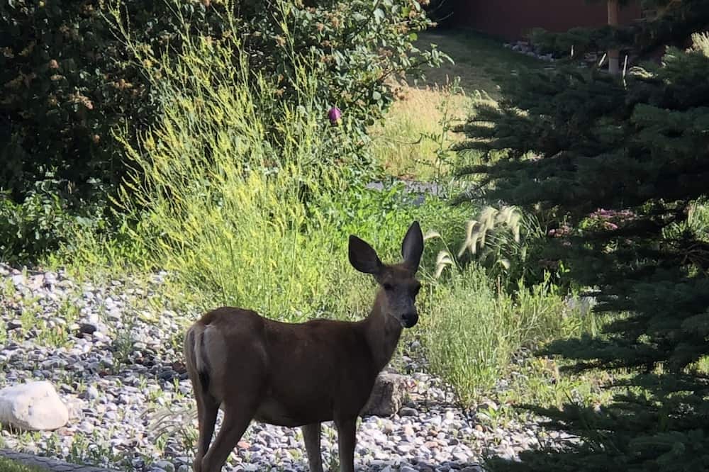 Photo of Others in Star Valley Ranch