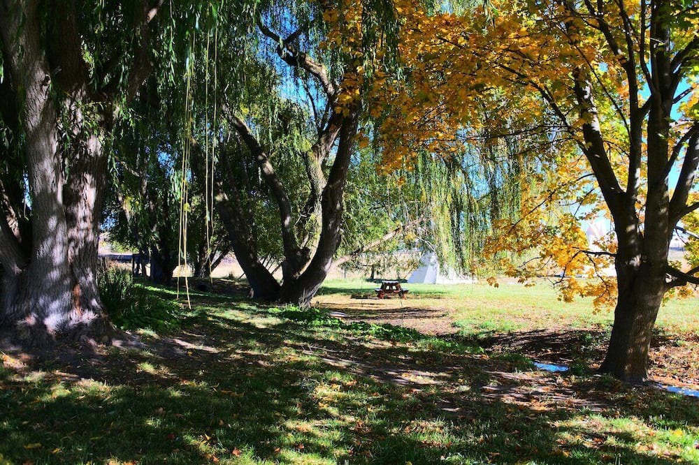 Photo of Outdoor in Polson