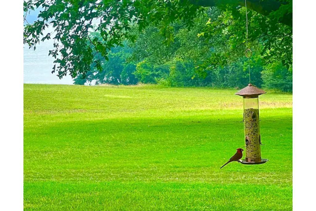 Photo of Others in Laguna Park