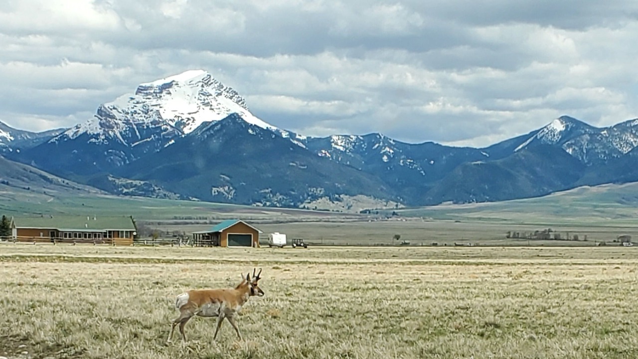 Photo of Outdoor in Cameron