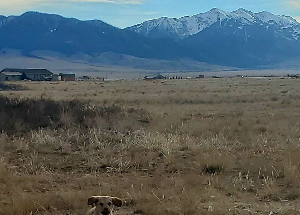 Photo of Outdoor in Cameron