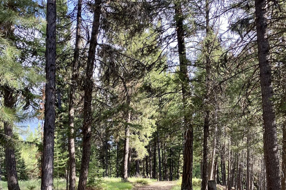 Photo of Outdoor in Trego