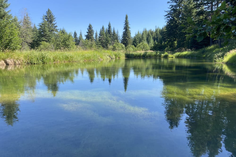 Photo of Outdoor in Trego