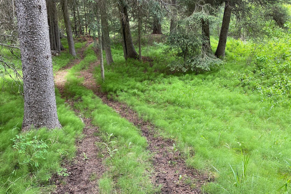 Photo of Outdoor in Trego