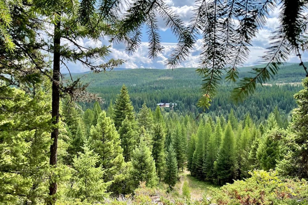 Photo of Outdoor in Trego