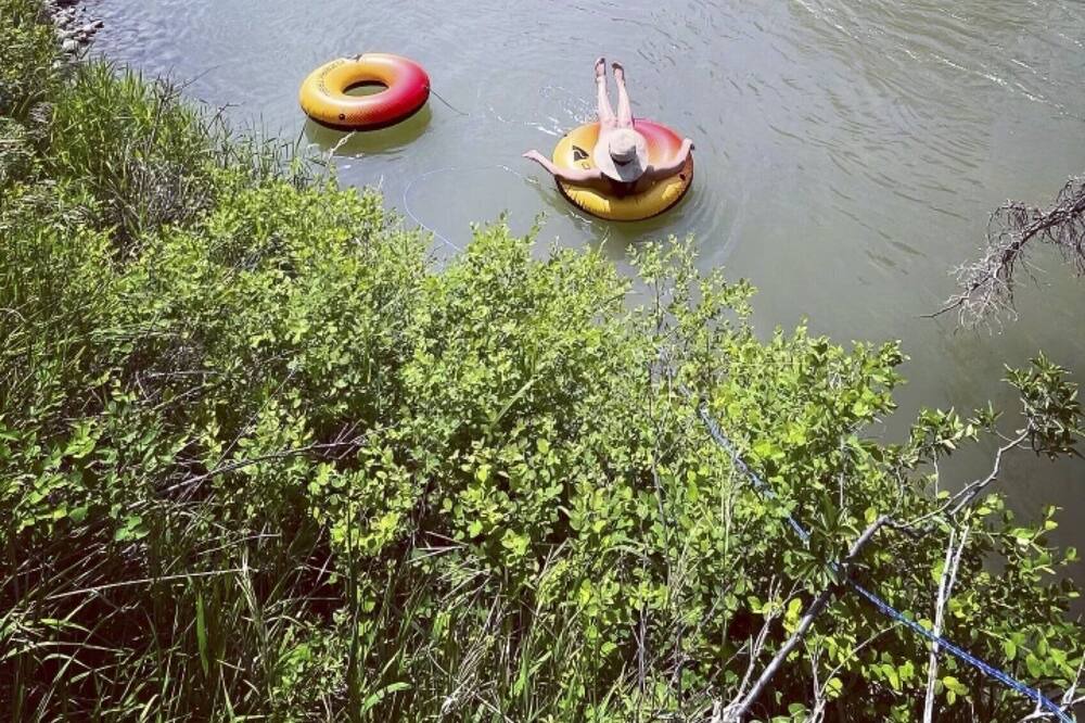 Photo of Others in Evergreen
