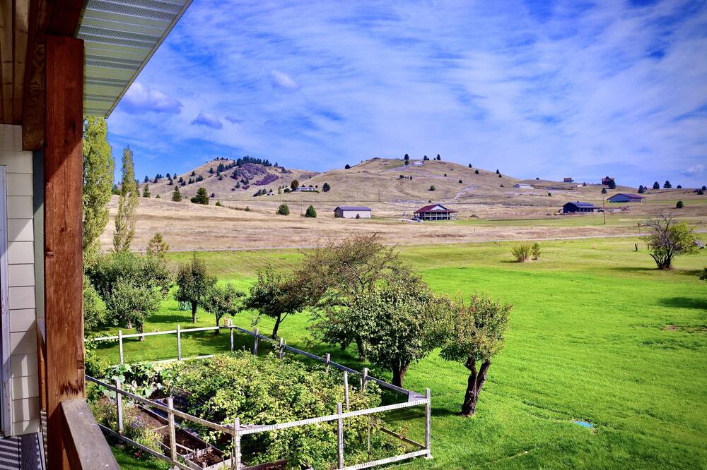 Photo of Outdoor in Elmo