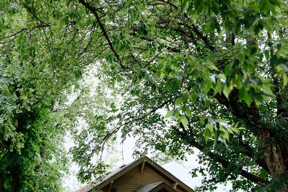 Photo of Outdoor in Moscow