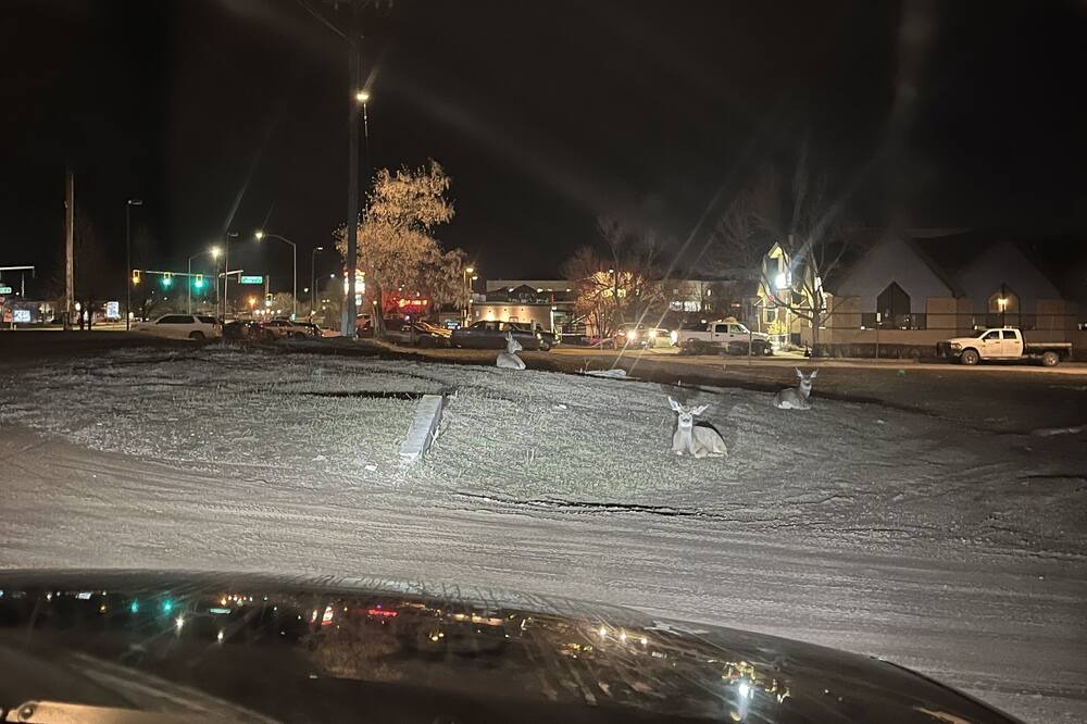 Photo of Outdoor in Helena
