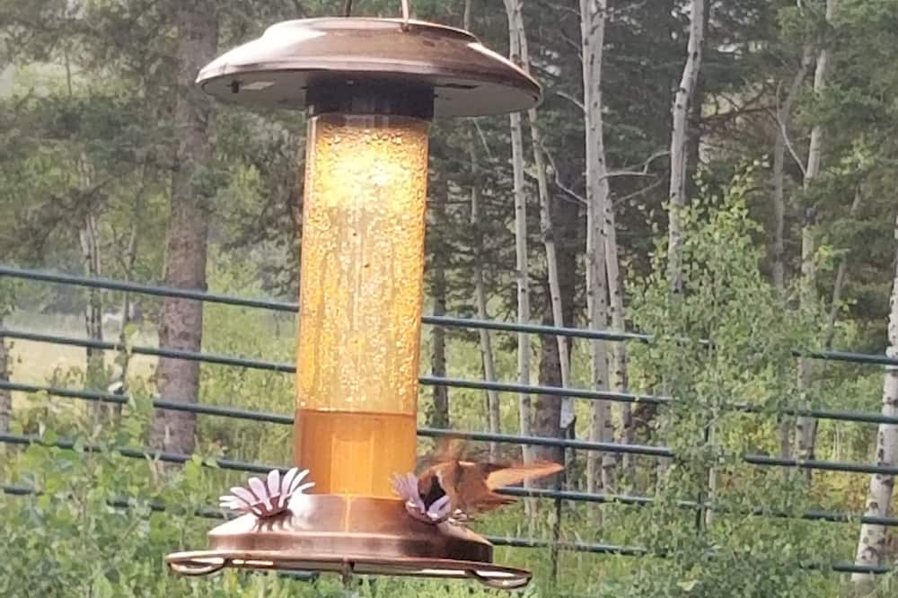Photo of Outdoor in Wilsall