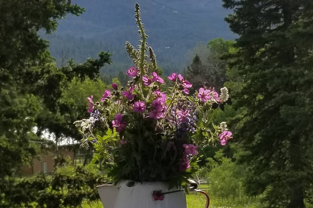 Photo of Outdoor in Wilsall
