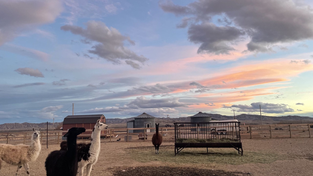 Photo of Outdoor in Ralston