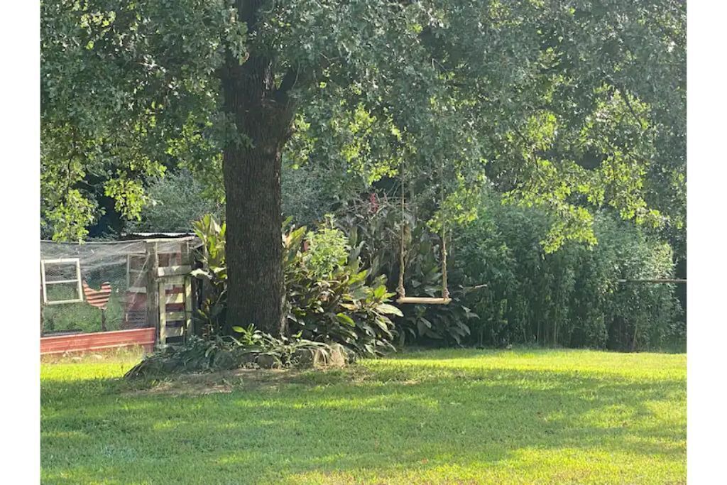 Photo of Outdoor in Atoka