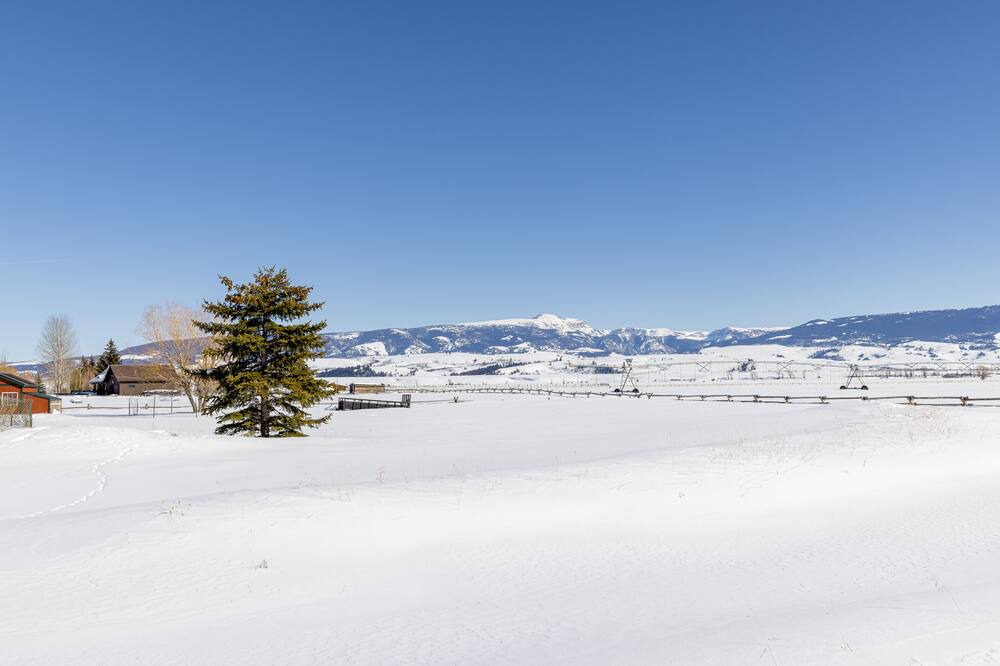 Photo of Others in Jackson Hole
