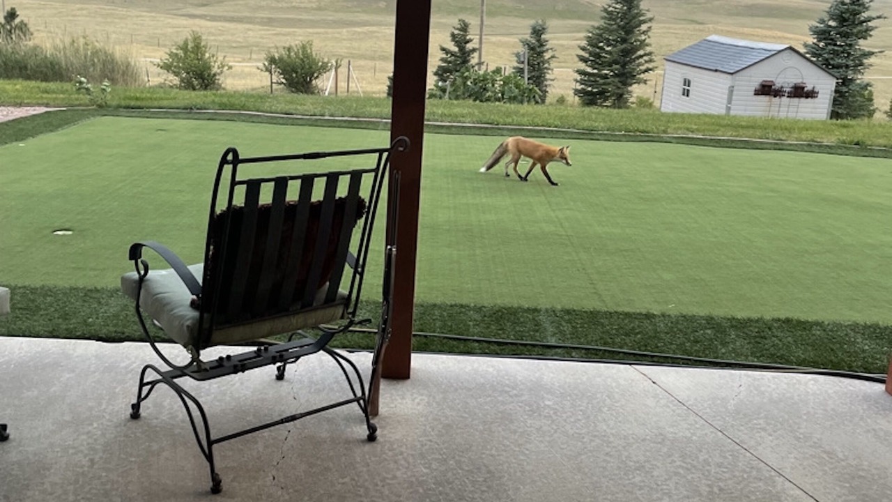 Photo of Outdoor in Sundance