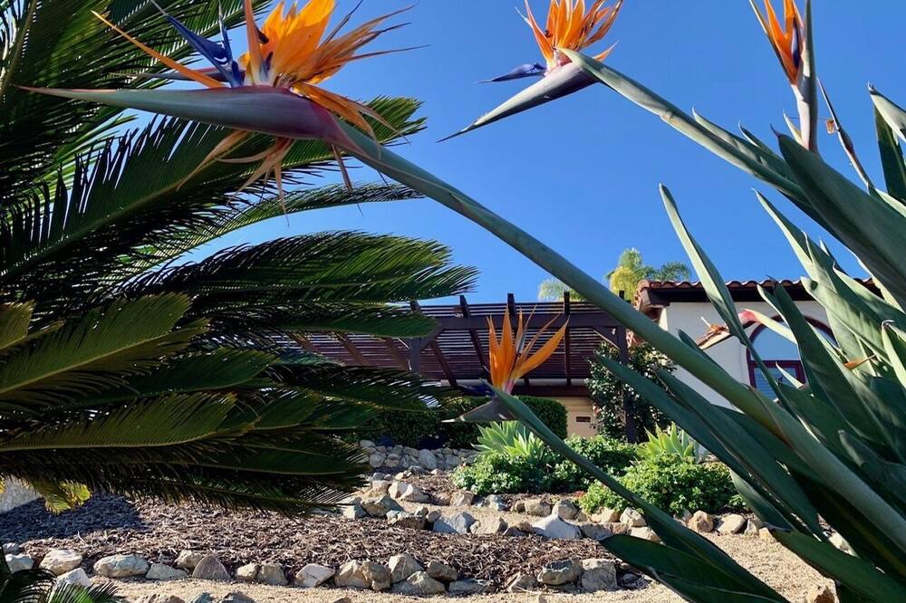 Photo of Others in Escondido