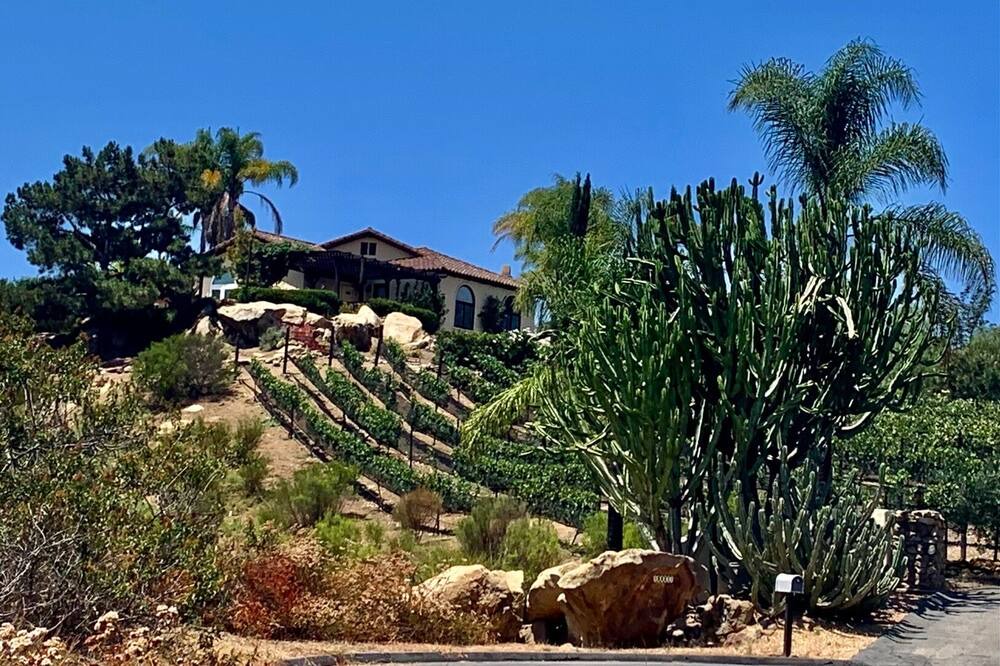 Photo of Others in Escondido