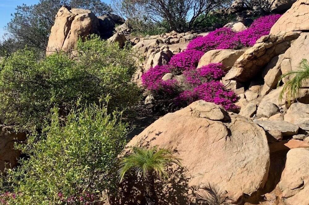 Photo of Others in Escondido