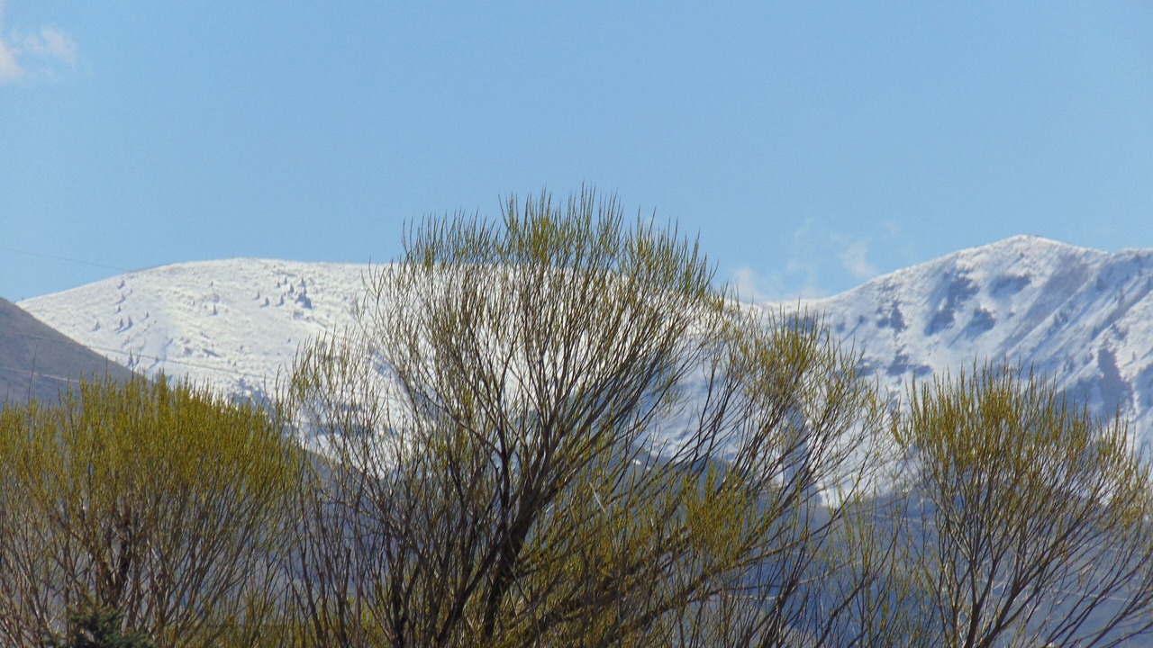 Photo of Others in Springville