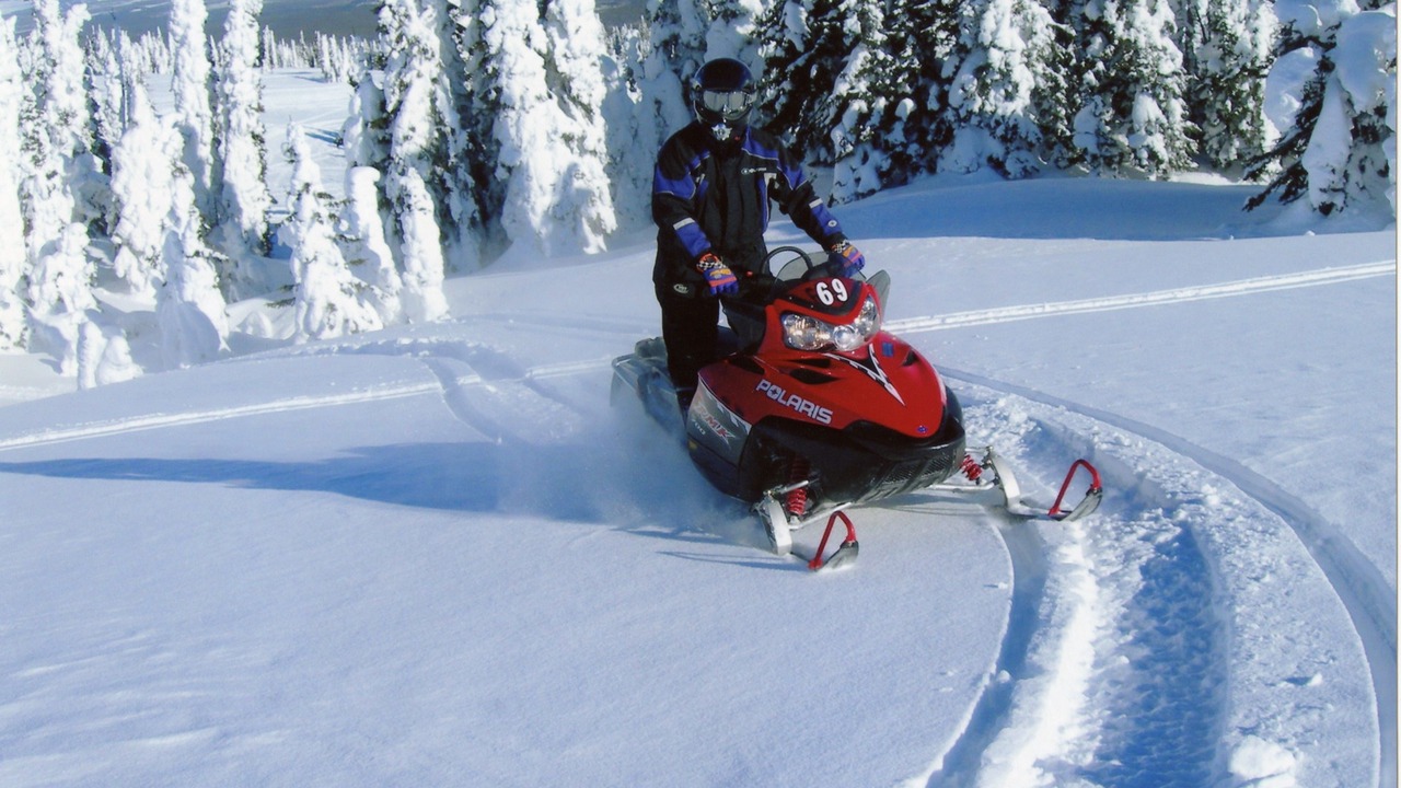 Photo of Others in West Yellowstone