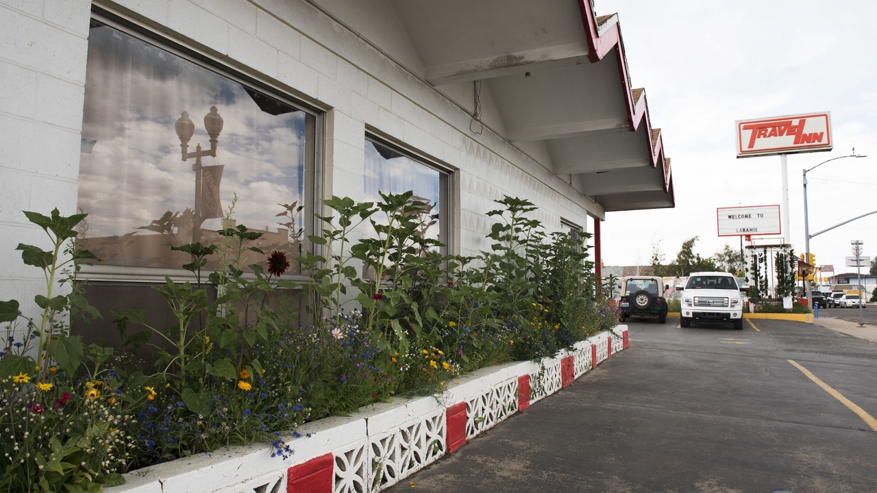 Photo of Others in Laramie