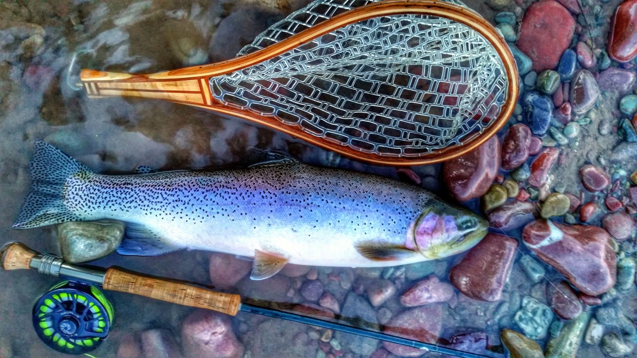 Photo of Others in West Glacier