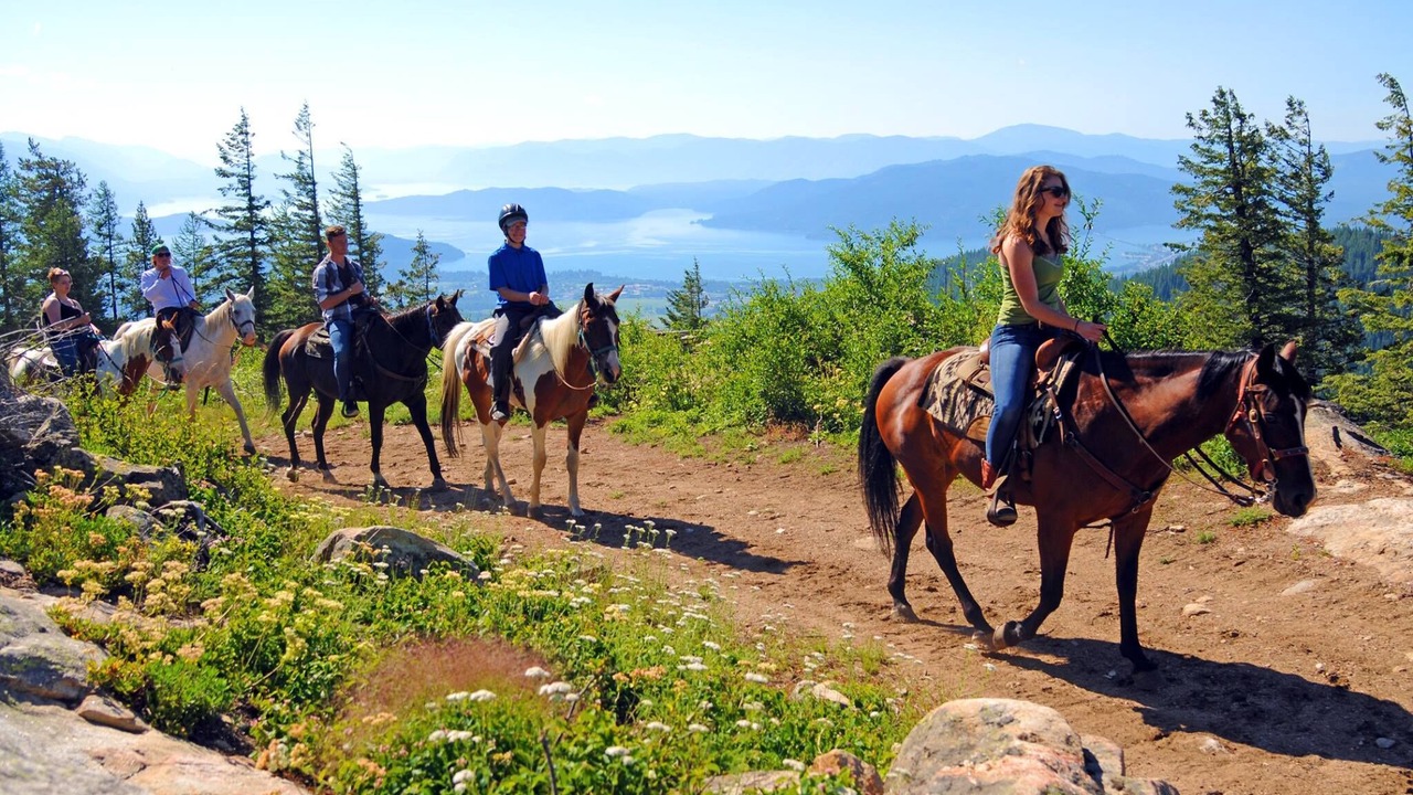 Photo of Others in Sandpoint