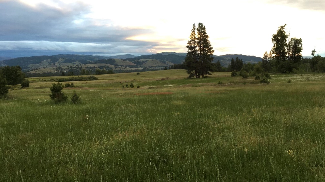Photo of Outdoor in Grantsdale