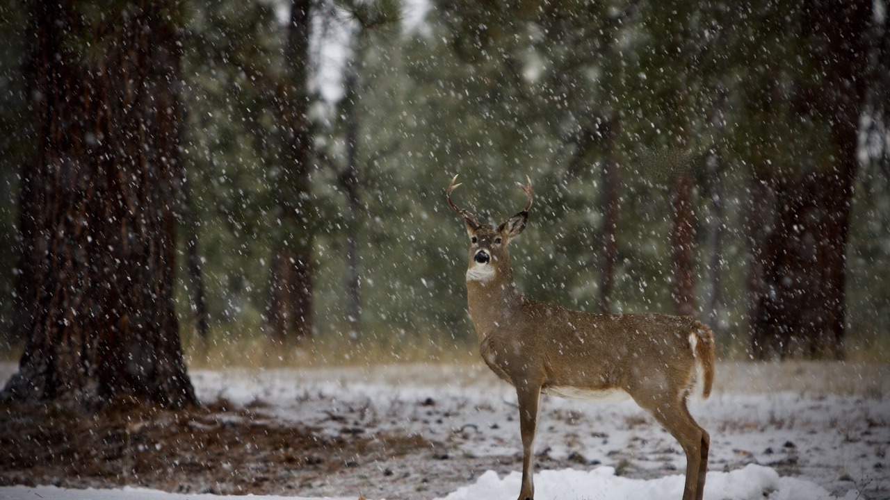 Photo of Others in Grantsdale