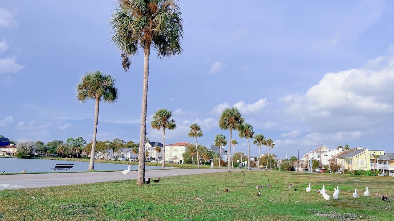 Photo of Others in Nassau Bay
