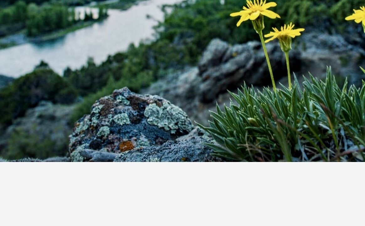 Photo of Others in Idaho Falls
